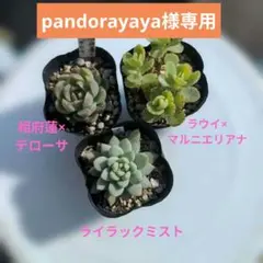 pandorayaya様 リクエスト 3点 まとめ商品