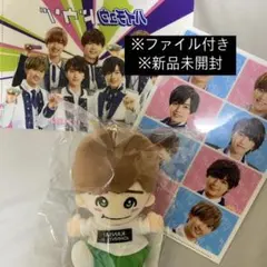 大橋和也　ちびぬい　新品未開封