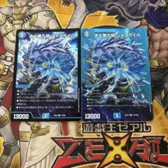 シャコガイル　2枚セット