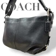最終値下げ 極美品 OLDCOACH コーチ ミニバッグ アクセサリーポーチ