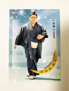 Item thumbnail for item 89b704ef-db50-4c8c-aa75-0bf191766082