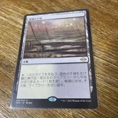 2026年最新】湿地の干潟/marsh flatsの人気アイテム - メルカリ