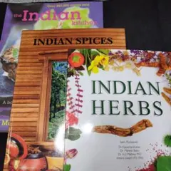 the Indian kitchen by Monisha Bharadwaj他