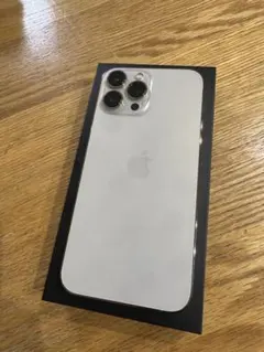 iPhone 13 Pro Max 256GB SIMフリーガラスコーティング済