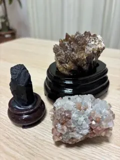 世界最大の恐竜博記念メダル ブラックビューティー - メルカリ