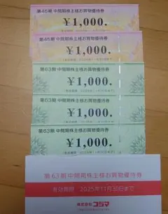 ビックカメラ　コジマ　 株主優待券 ¥1,000×5枚　5000円分