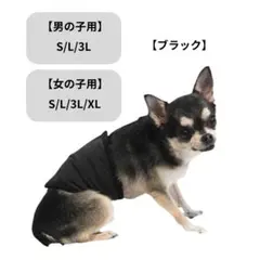 Item thumbnail for item 4b93e799-0c12-4c6c-924b-5eba9c80c0c1