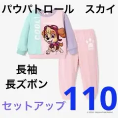 【新品】パウパトロール　スカイ　セットアップ　長袖　春　トレーナー　100