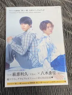 TVドラマ&劇場版「美しい彼」公式ビジュアルブック