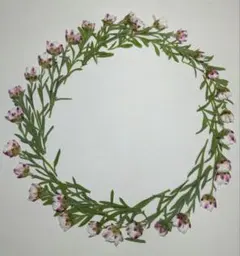 Item thumbnail for item 54122b0d-9d91-4faf-8cb9-b09cf498b519