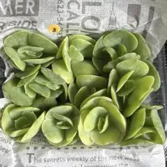 2026年最新】ピーチプリデの人気アイテム - メルカリ