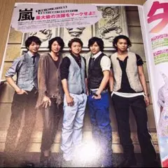 嵐 最大級の活躍をマークせよ Secret#97 ひみつ総括 バカ殿