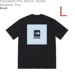 Supreme/The North Face Bandana Tee L