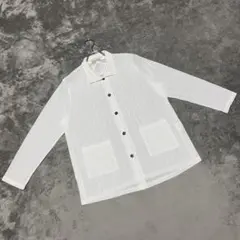 【Ladies Wear】（M）シースルーシャツ プリーツ カジュアル 長袖