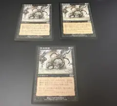 발굴된 시체 3구