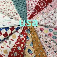 ライリーブレイク　usaコットン チェリー　エッグ　14カラーセット　30's調