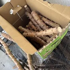 2025年最新】キャッサバの人気アイテム - メルカリ