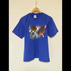 AmericanEagleFB/GILDAN(USA)ビンテージTシャツ