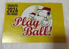 はまけん様 リクエスト 2点 まとめ商品