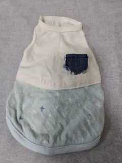 Item thumbnail for item 5e7e9979-df43-4d10-af66-b2b28184fb98