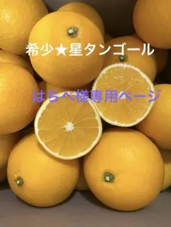 はちべ様専用ページ