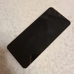 Item thumbnail for item 173545f6-30b2-4e8c-bff7-147baded901d