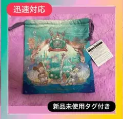 新品未使用♡ディズニーシー24周年巾着
