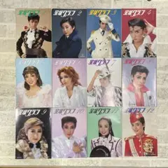 Item thumbnail for item d2e2ff34-0d70-46fb-8a01-bbc5be54893c