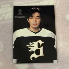 SEVENTEEN HOME ウォヌ トレカ