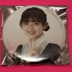 はりねずみ様 リクエスト 2点 まとめ商品