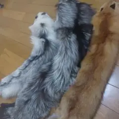 FOXEY洗えるフラウンスペタル♡白38サイズ - メルカリ