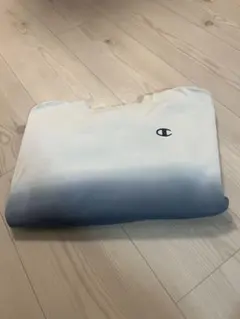 Champion ホワイト&グレー2色 トレーナー