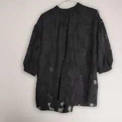ブラック　シースルー 半袖シャツ ボタン付き BODY DESSERT