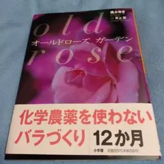 jan_kasuteira7様 リクエスト 2点 まとめ商品