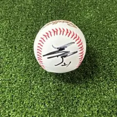 阪神タイガース 金本知憲 直筆サインボール ヒーロー賞 投げ入れ 2009