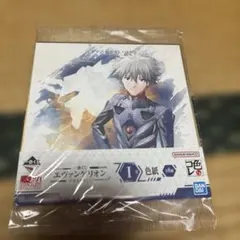 エヴァンゲリオン 渚カヲル色紙