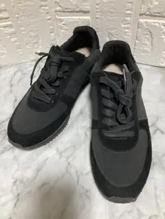 Item thumbnail for item c172a411-abe2-4f4f-bc2e-aea532365ec1