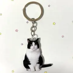 Item thumbnail for item 429307c8-587b-41dc-98b9-834d1954e4af