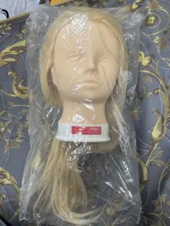レジーナ LJ-002G 金髪 ブロンド ウィッグ ヘアアレンジ 美容学生 実習