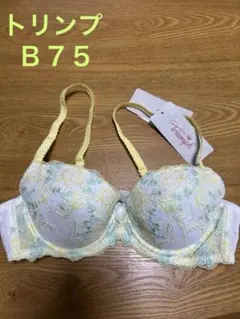 トリンプTriumph 花柄刺繍 ブラジャー B75