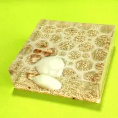 Item thumbnail for item 9d7ccd0a-40ce-448f-9060-056ffef3fc60