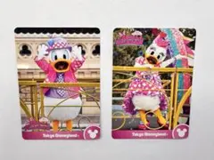 ミニー　パルパルーザ　コレクションカード　ドナルド　デイジー