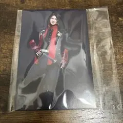 刀ステ 心伝 ファンサイト限定購入特典 ポストカード