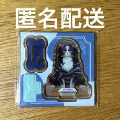 東京リベンジャーズ　東リべ どうぶつフォーゼ アクスタ 場地圭介