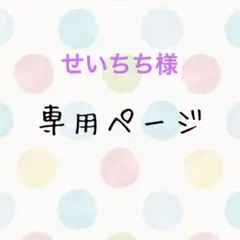 せいちち様 専用