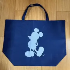 Item thumbnail for item 486ff040-58bb-42f9-bd11-8f79a63d825a