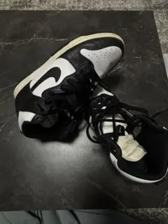 Nike Dunk High Next Nature 