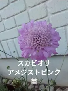 みどりん様 リクエスト 2点 まとめ商品