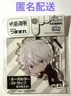 呪術廻戦　五条悟　アクリル　つままれ