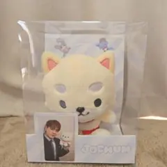 【未開封品】JOCHUM まめちぃ (豆原一成) ぬいぐるみ 写真カード付き